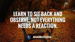 Learn to Sit Back and Observe. Not Everything Needs Your Immediate Response